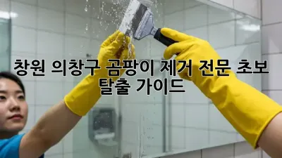 창원 의창구 곰팡이 제거 전문🧹 초보 탈출 가이드